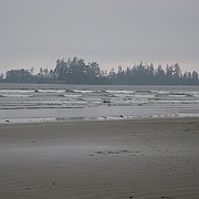 Picture 270